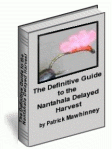 The Definitive Guide to the Nantahala Delayed Harvest - by Patrick Mawhinney